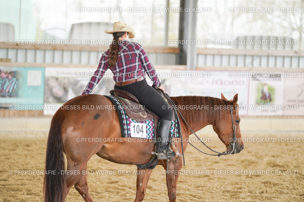 DSC04016 | Pferdegrafie