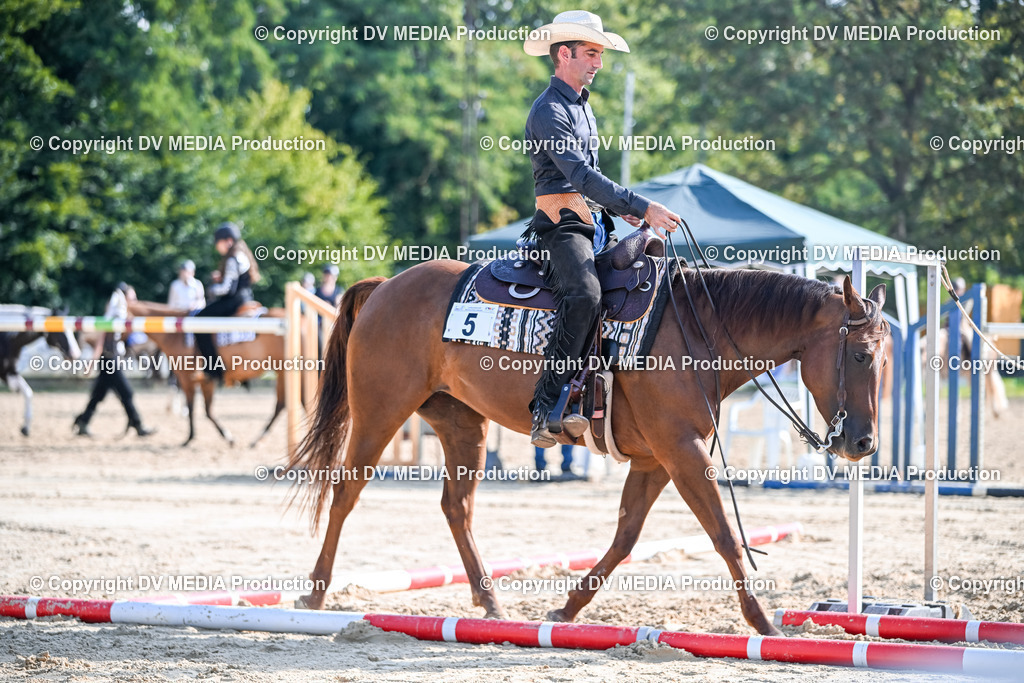 ZS2_3470 | dv-media-shop - Realisiert mit Pictrs.com