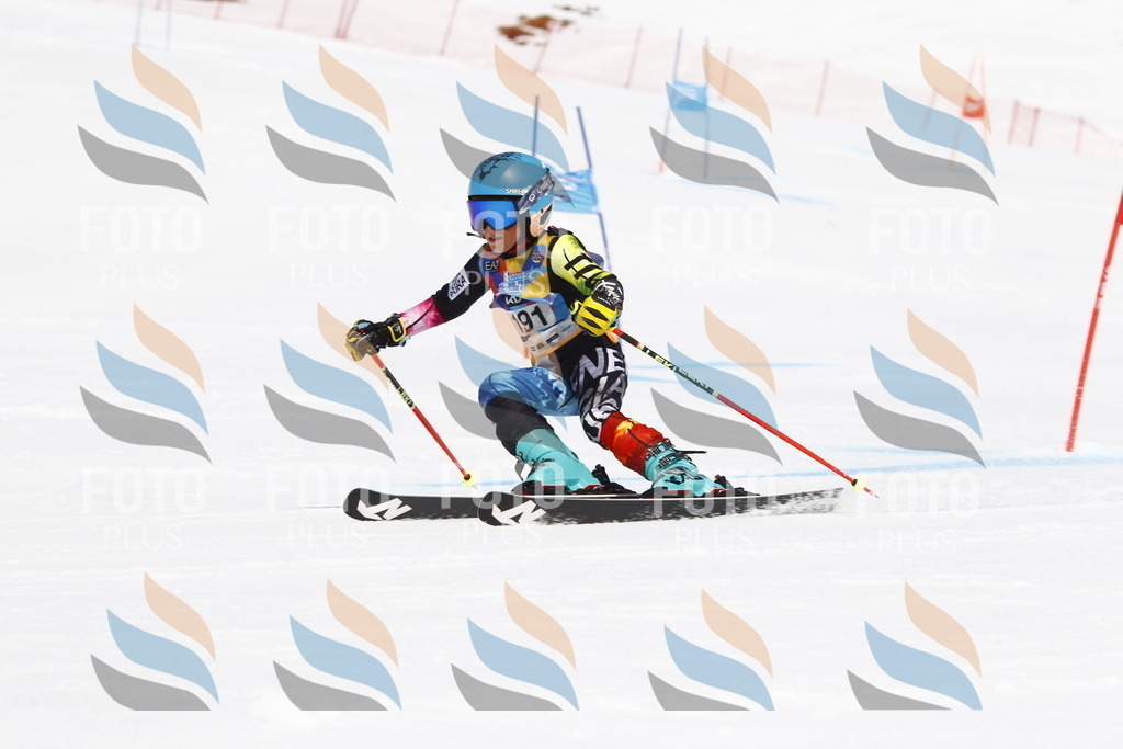 _U3G5019 | holidayphoto