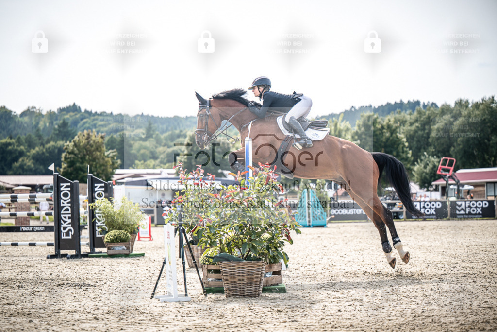 DOS_9508 | Entdecke hochwertige Reitturnierfotos von Foto Oger. Professionell, emotional und authentisch – jetzt Lieblingsmomente im Shop bestellen. - Realisiert mit Pictrs.com