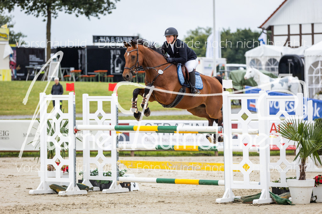 BHO-2PhSpr-M-108 | MomenTaufnahmen Pferdesportfotos