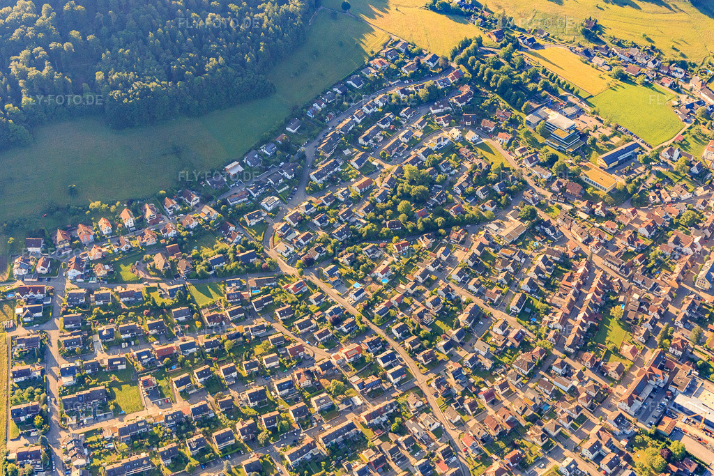 Luftbild: Talblick, Schwarzwaldstr in Seelbach im Bundesland Baden-Württemberg in Deutschland. Foto: IMG_147722.jpg vom 30.05.2025 durch Werner Riehm/FLY-FOTO.de