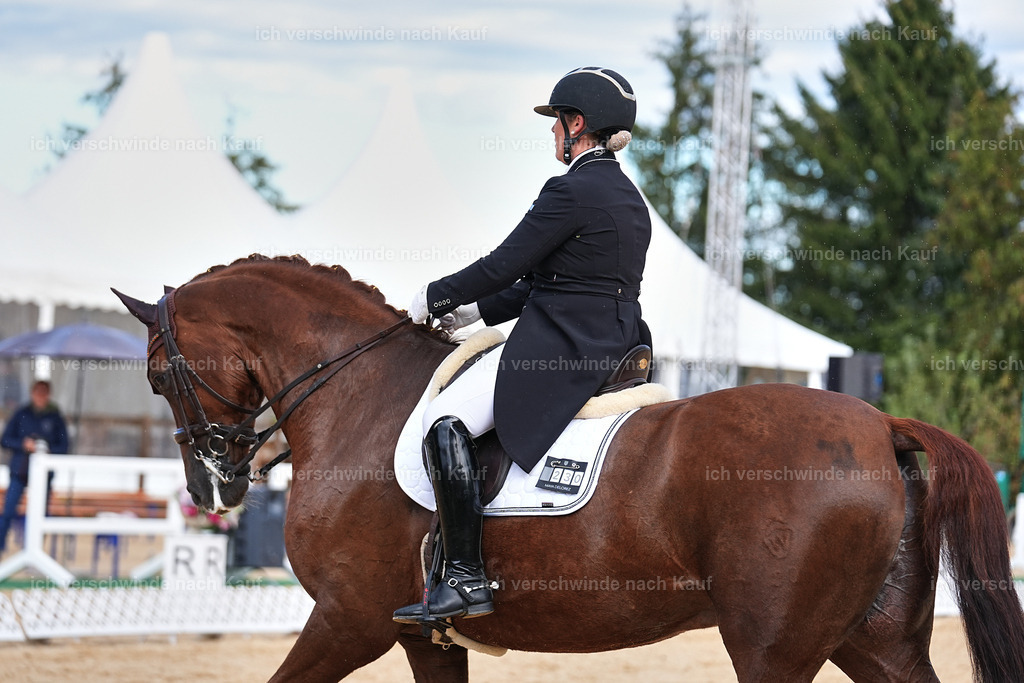 10-230-ST.GEORG SPECIAL -Marixx-3340 | working equitationturnier fotograf videograf stoibphotography marixx film working equitation deutschland reitsport turnierfotografie eventfotografie equestrian events