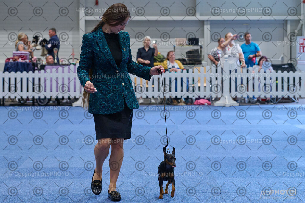 202406_ÖKV-IHA-Tulln24_DSC_4832 | proPHOTO - Realisiert mit Pictrs.com