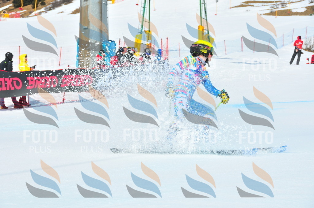 DSC_5230 | holidayphoto