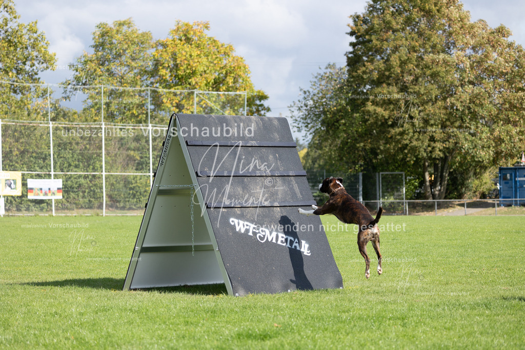 _16A6909 | Einzigartige Fotos von Hunden & Menschen –Actionfotos, Portraits, Vereinsaufnahmen & Paarshootings – authentisch, lebendig & mit Herz.