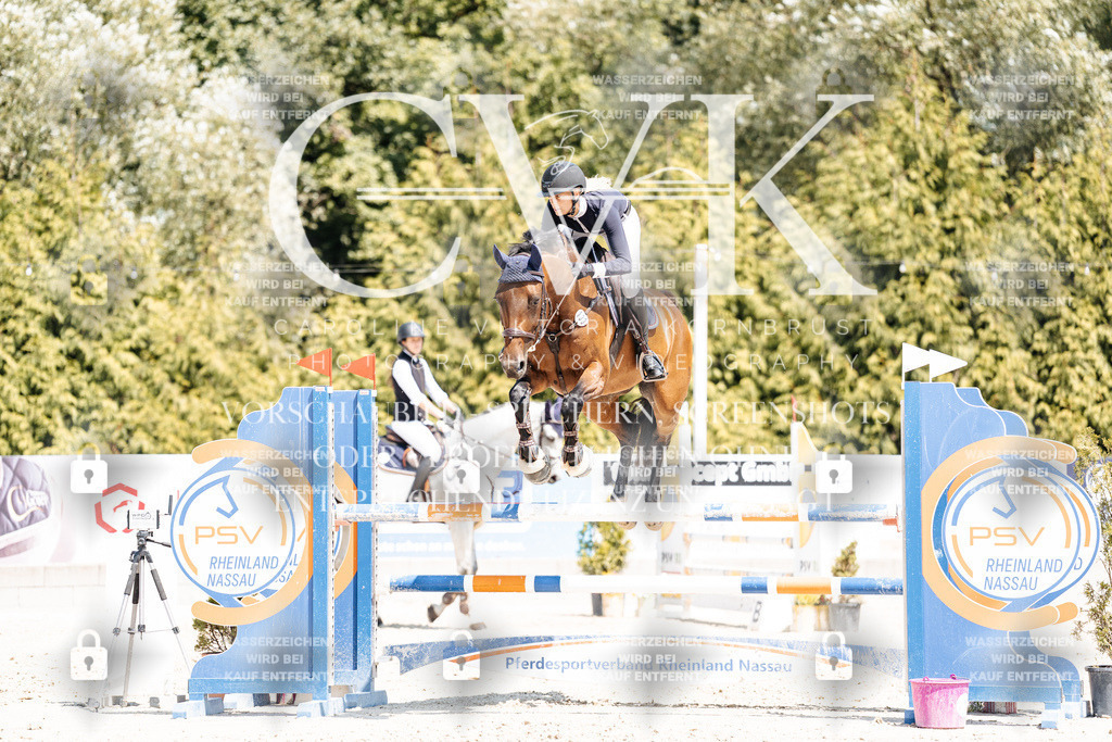 CK900869 | Turnierfotografie Pferdefotografie Trier Rheinland-Pfalz Pferdesport Reitsport Tierfotografie Sportfotografie Pferdevideo Pferdevideografie Equestrianvideography equestrianphotography  - Realisiert mit Pictrs.com