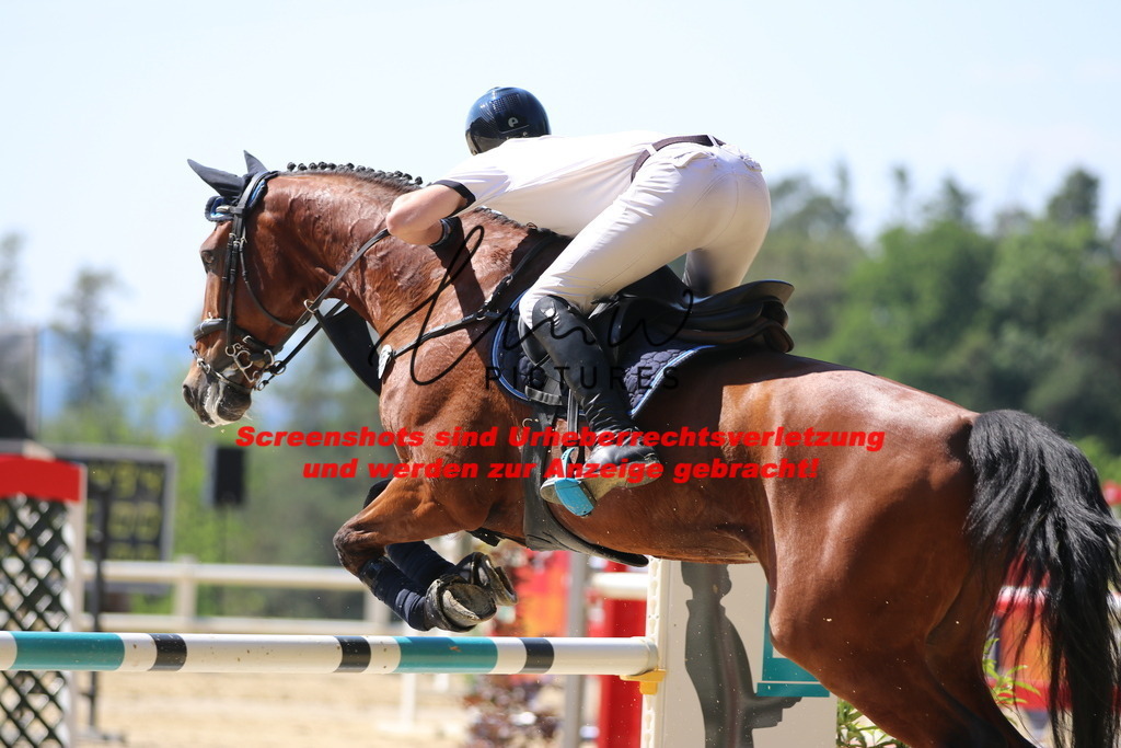 IMG_2837 | lmwpictures - Realisiert mit Pictrs.com