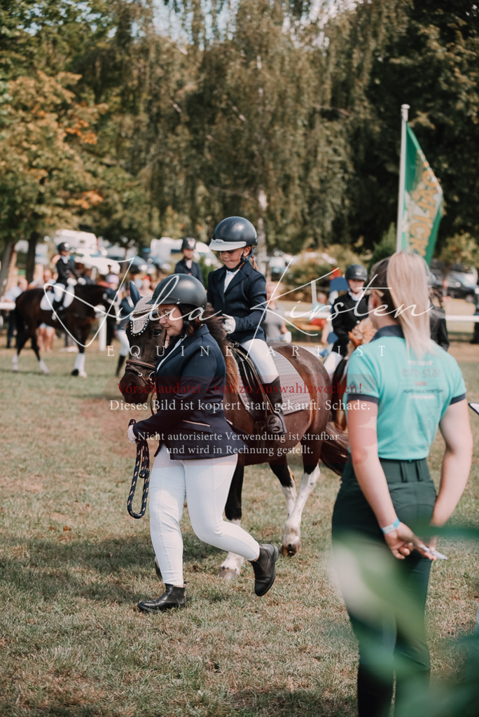 DSC_6052 | Pferde- und Turnierfotografie in Westsachsen. Pferdeportraits, Auftragszeichnungen und intuitive Kunst.