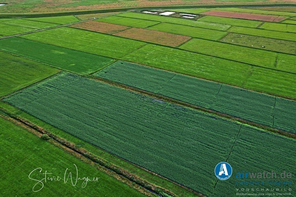 Luftbilder Hattstedtermarsch | Luftbilder, Nordsee, Nordfriesland, Hattstedtermarsch, Deichweg, Speckiweg, Seedeichgraben