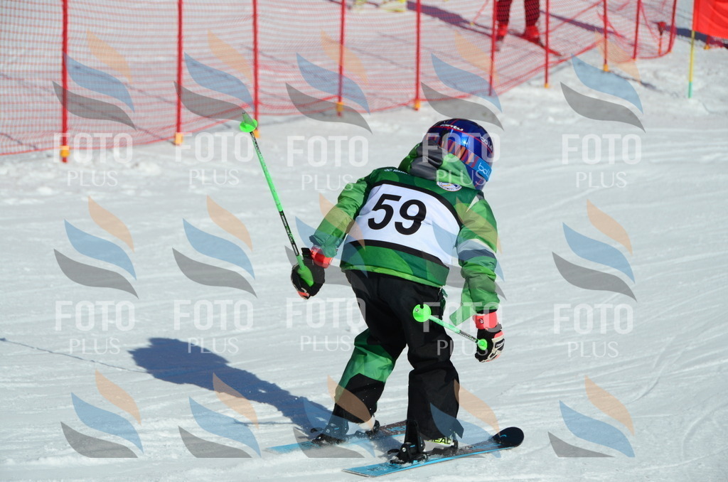 C5342 | holidayphoto