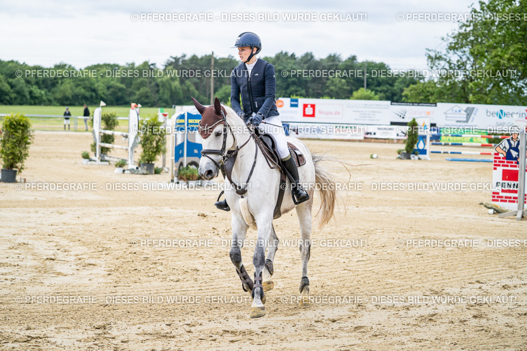 DSC04762 | Pferdegrafie