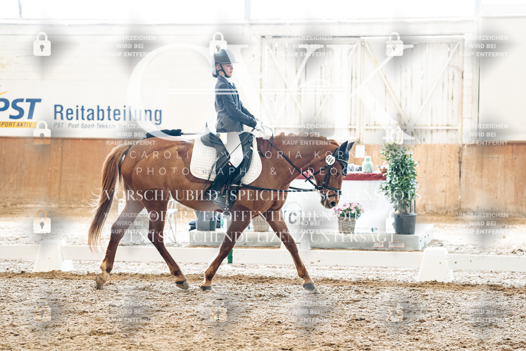 CK900006 | Turnierfotografie Pferdefotografie Trier Rheinland-Pfalz Pferdesport Reitsport Tierfotografie Sportfotografie Pferdevideo Pferdevideografie Equestrianvideography equestrianphotography  - Realisiert mit Pictrs.com
