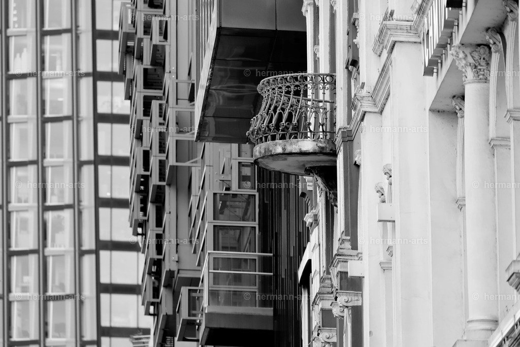 Hamurg_Arts-021 | Photo Foto Kunst Art schwarzweiss Bilder Rheine Münster Berlin Blumen 