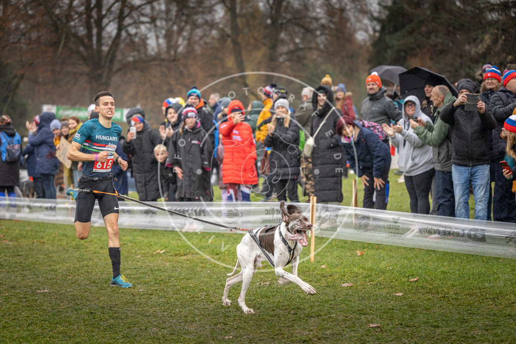CaniXpix_DV3A9597 | Hundefotografie, Tierfotograf, Pfotenfotografie, Fotoshooting Hund, Hunde Portrait, Hundesport, Hundeportraits, Heideshooting, Hunde, Sportfotograf, Hundefotograf, Turnierhundsport, THS,  - Realisiert mit Pictrs.com