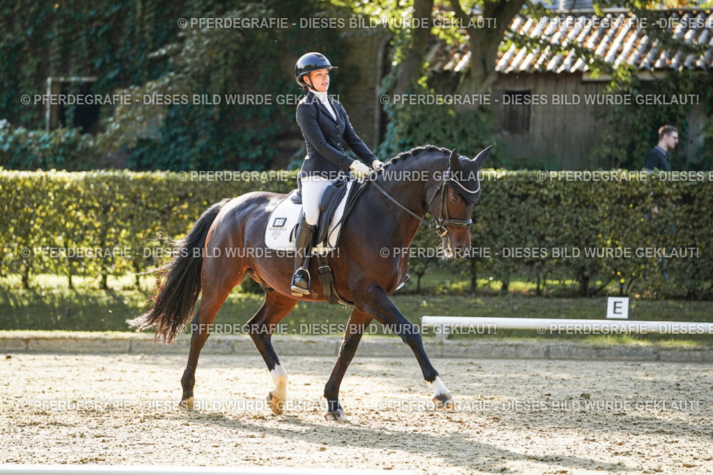 DSC06322 | Pferdegrafie