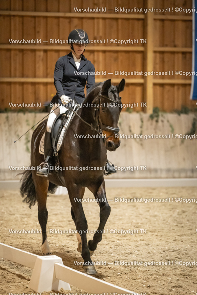 _D5A0547 | Emotionale Pferde- & People-Fotografie rund um Heidelberg, Leimen & Umgebung. Natürliche Fotos von Pferd, Mensch & Familie. Jetzt Termin sichern!