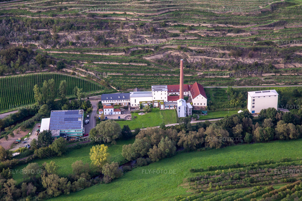 Luftbild: CJD Wolfstein, Aussenstelle Niedermühle und Weingut Klostermühle Odernheim KG in Odernheim am Glan im Bundesland Rheinland-Pfalz in Deutschland.Foto: IMG_138172.jpg vom 03.09.2023 durch Werner Riehm/FLY-FOTO.deGemeinde OdernheimWWW.CLARETUM.DE
