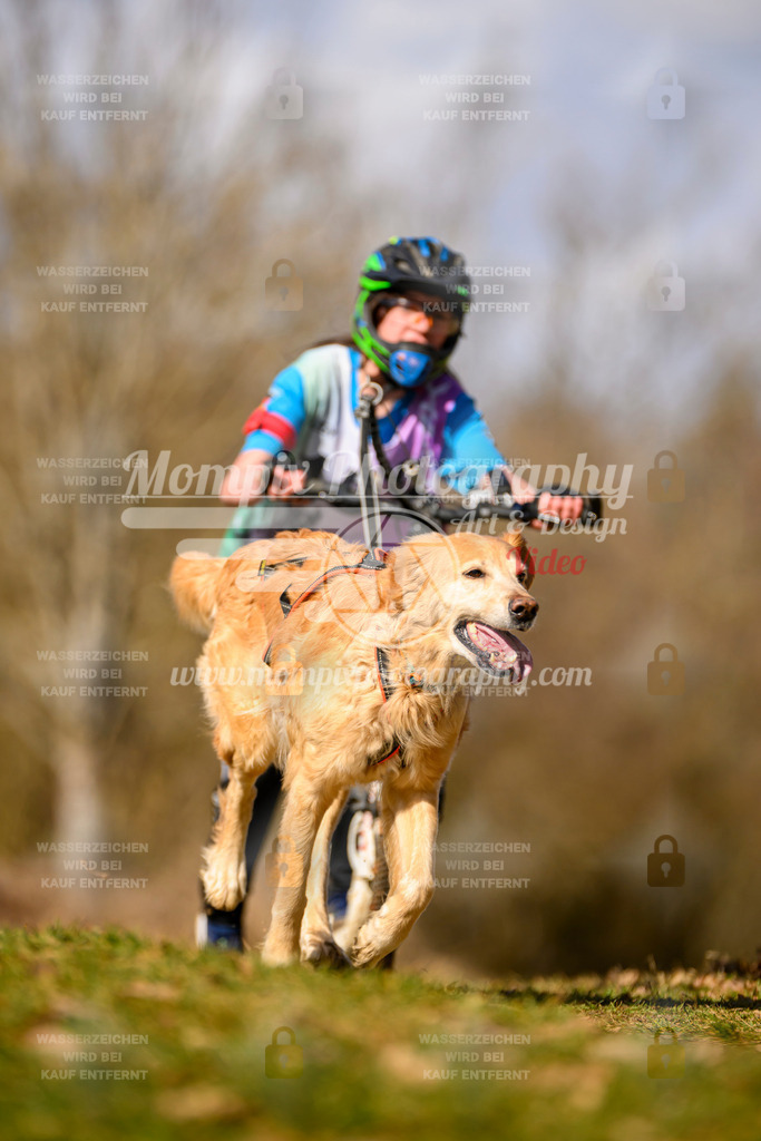 MompixPhotography_10Schwabentrail2026_SO_Scooter-187 | PayLife