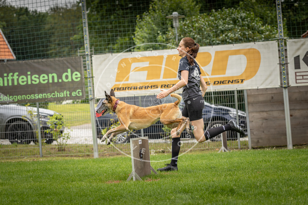 Pfotenfotografie_DV3A8467 | Hundefotografie, Tierfotograf, Pfotenfotografie, Fotoshooting Hund, Hunde Portrait, Hundesport, Hundeportraits, Heideshooting, Hunde, Sportfotograf, Hundefotograf, Turnierhundsport, THS,  - Realisiert mit Pictrs.com