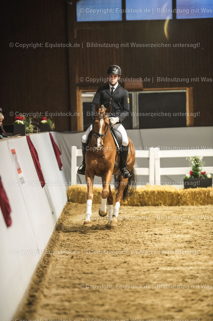 20240302_Hengstvorstellung_Marbach_TOMsPiC_0354-2 | equistock