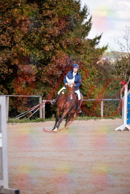 2026_10_03_Siefer-Hof_170336_Z81_00197158 | Professionelle Reitsport-, Turnier- und Eventfotografie von Robert Broda. Galerien mit ausgewählten und bearbeiteten Bildern direkt online ansehen und bestellen.
