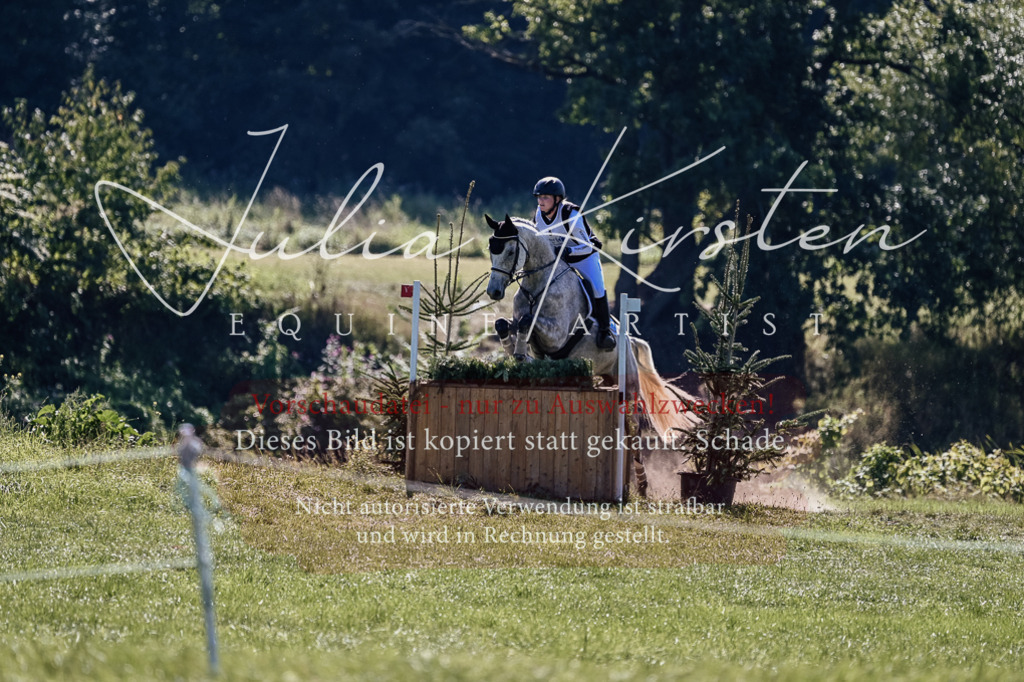 DSC_1376 | Pferde- und Turnierfotografie in Westsachsen. Pferdeportraits, Auftragszeichnungen und intuitive Kunst.