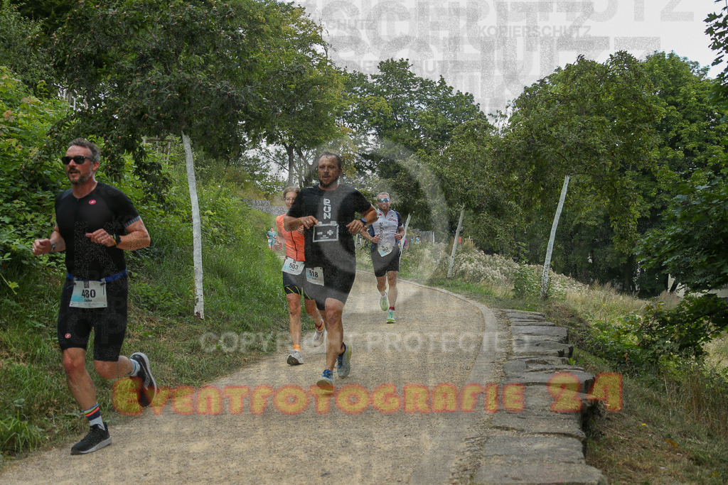 250824_1400_EX1_4615 | Sportfotografie im Rhein-Sieg Kreis, Köln, Bonn, NRW, Rheinland Pfalz, Hessen, etc. Unser Tätigkeitsfeld umfasst den Laufsport vom Volkslauf über den Marathon, Duathlon, Triathon bis zum Ultralauf wie Kölnpfad Ultra oder Schindertrail.