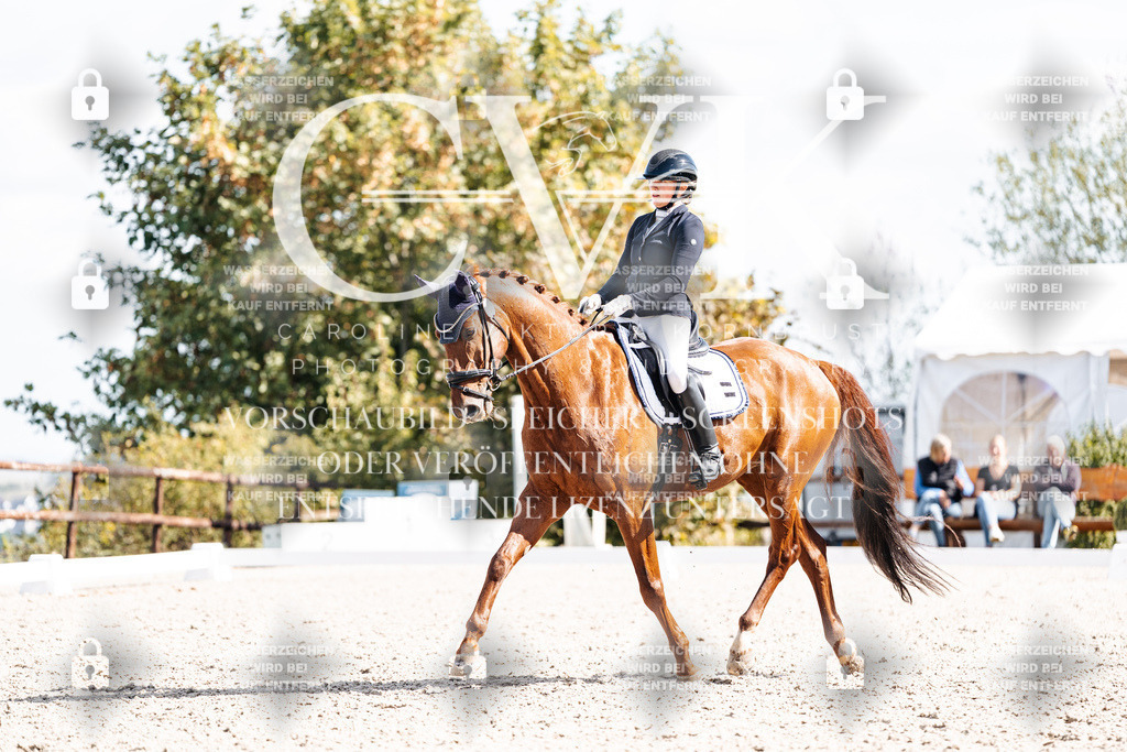 CK902614 | Turnierfotografie Pferdefotografie Trier Rheinland-Pfalz Pferdesport Reitsport Tierfotografie Sportfotografie Pferdevideo Pferdevideografie Equestrianvideography equestrianphotography  - Realisiert mit Pictrs.com