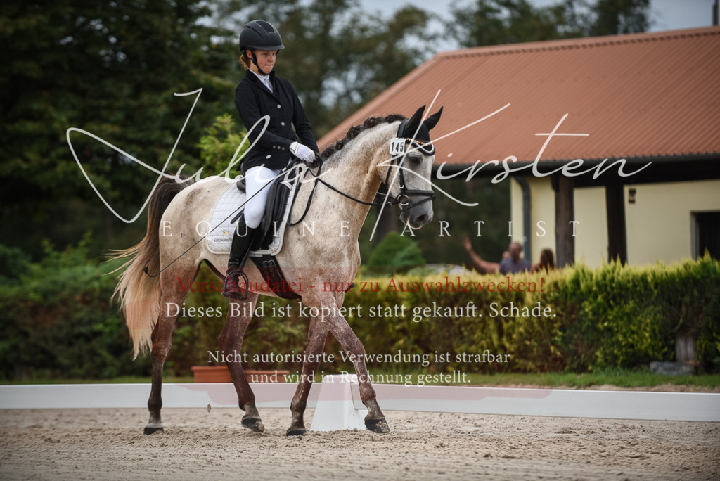 DSC_8196 | Pferde- und Turnierfotografie in Westsachsen. Pferdeportraits, Auftragszeichnungen und intuitive Kunst.