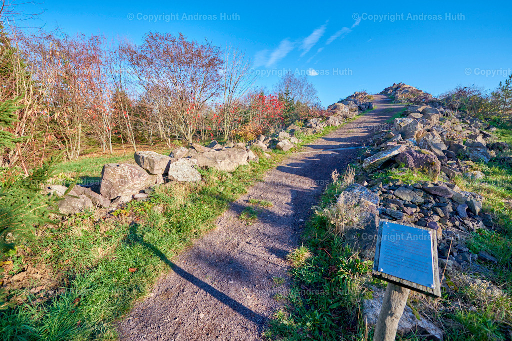 Im Forstbotanischen Garten Tharandt 05 | Bedeutsame Landschaften Deutschlands - Realisiert mit Pictrs.com