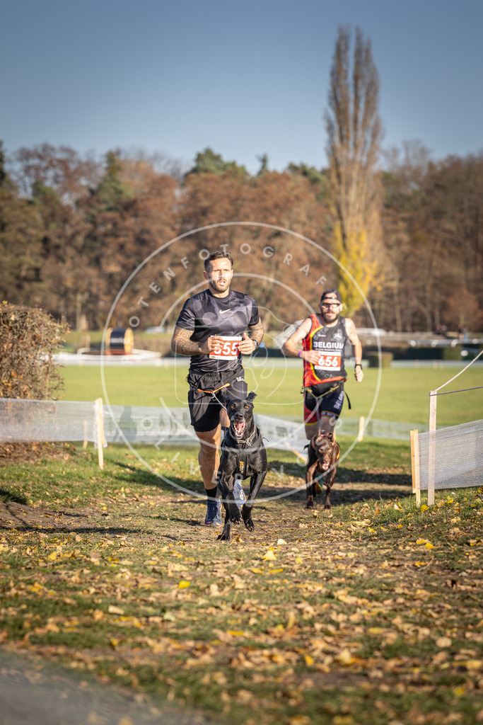 CaniXpix_DV3A0565 | Hundefotografie, Tierfotograf, Pfotenfotografie, Fotoshooting Hund, Hunde Portrait, Hundesport, Hundeportraits, Heideshooting, Hunde, Sportfotograf, Hundefotograf, Turnierhundsport, THS,  - Realisiert mit Pictrs.com