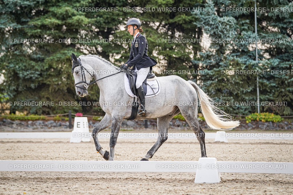 DSC00106 | Pferdegrafie