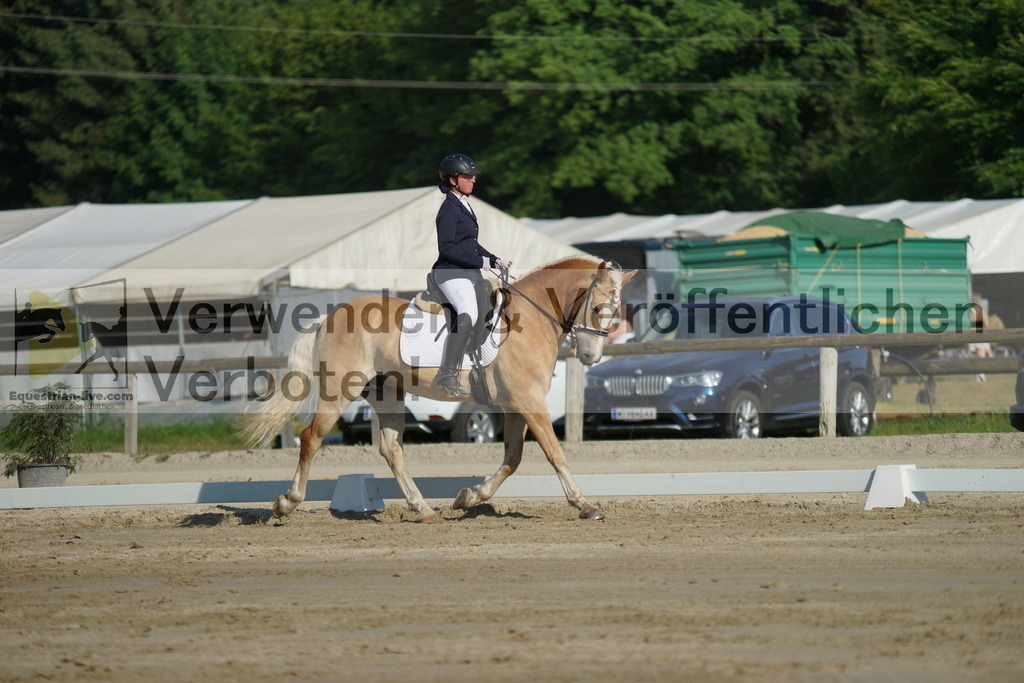 DSC04142 | equestrian-live-com