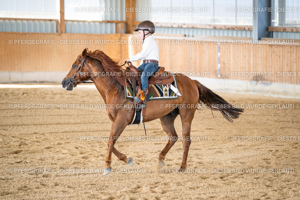 DSC03150 | Pferdegrafie