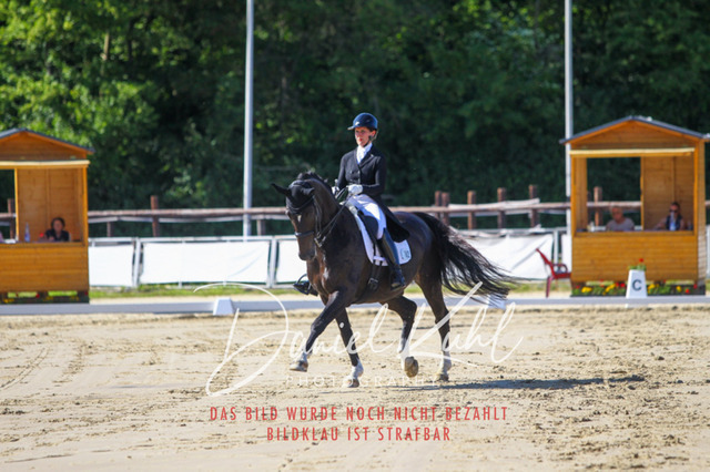 DKP42592 | Turniersportfotografie; Pferdefotografie; Dressurfotografie