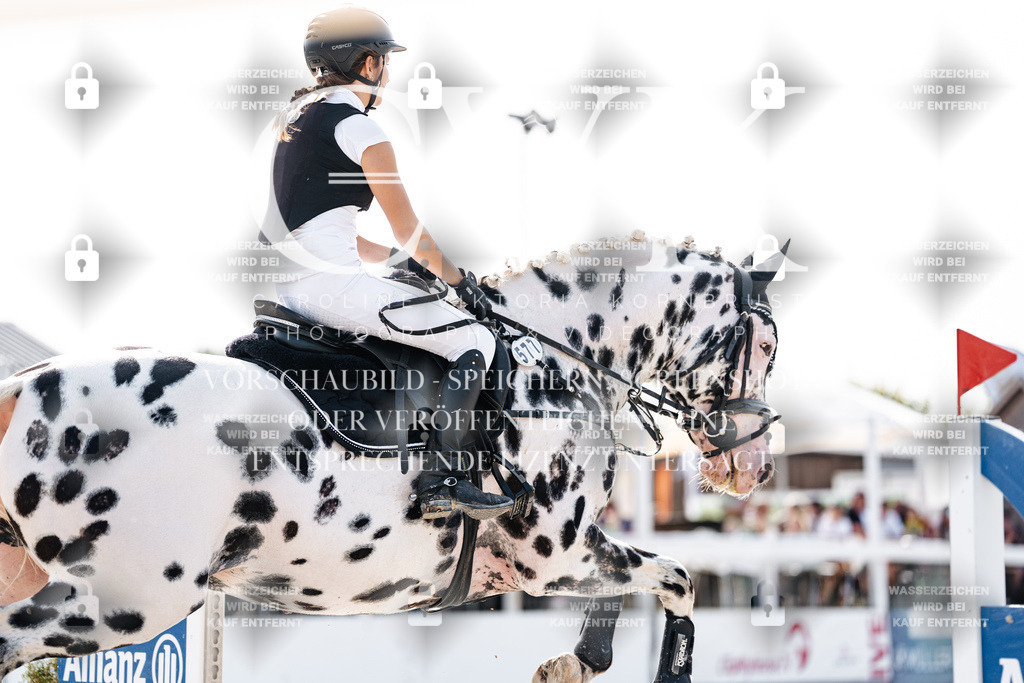CK905962 | Turnierfotografie Pferdefotografie Trier Rheinland-Pfalz Pferdesport Reitsport Tierfotografie Sportfotografie Pferdevideo Pferdevideografie Equestrianvideography equestrianphotography  - Realisiert mit Pictrs.com