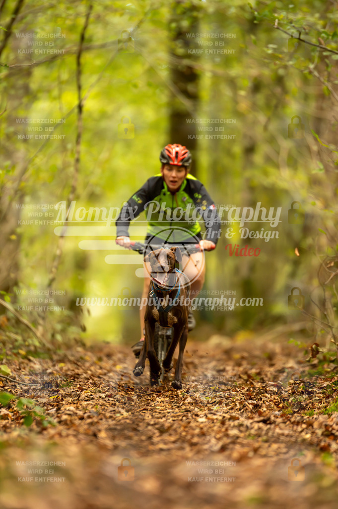 TSB_2023_E1_Bike-28 | mompixphotography