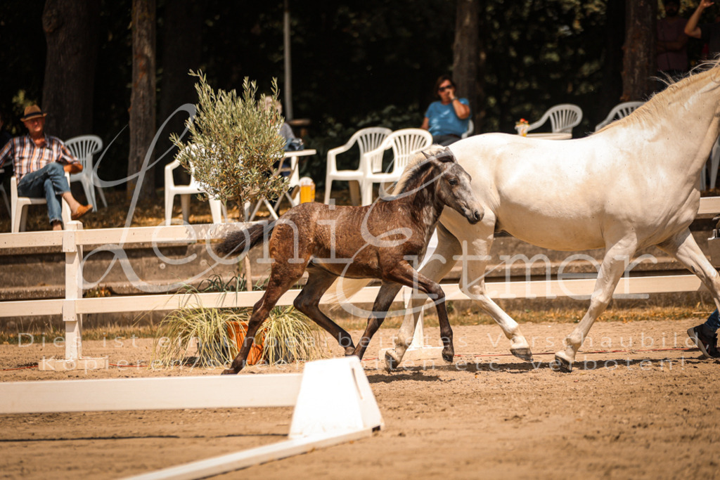 02.DoSR00180 | Leoni Ertmer Photography - Realisiert mit Pictrs.com