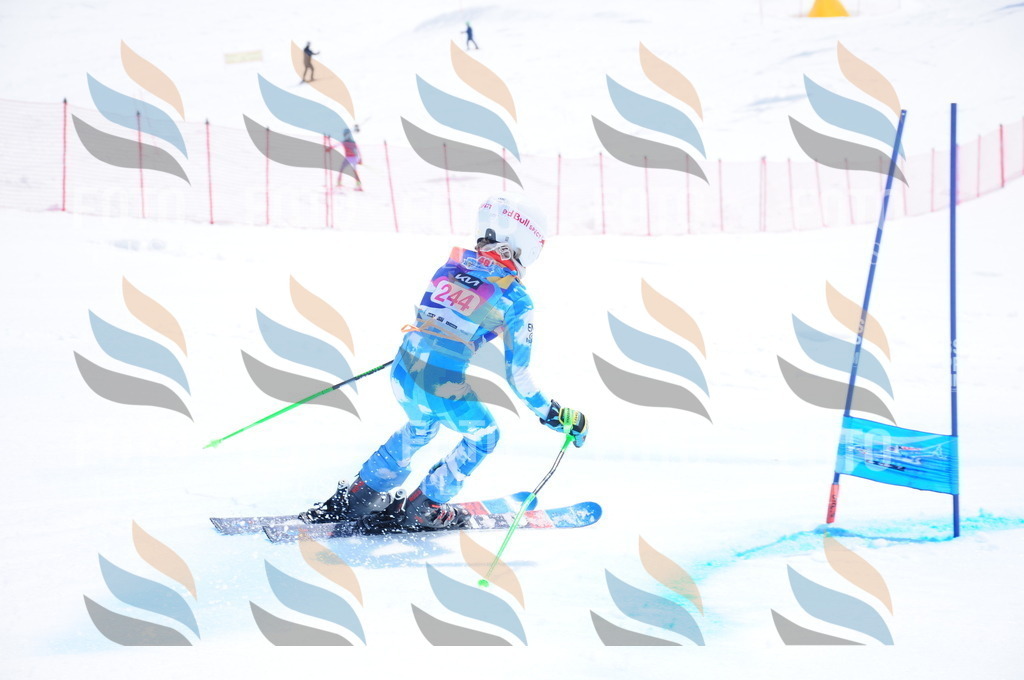 DSC_6176 | holidayphoto