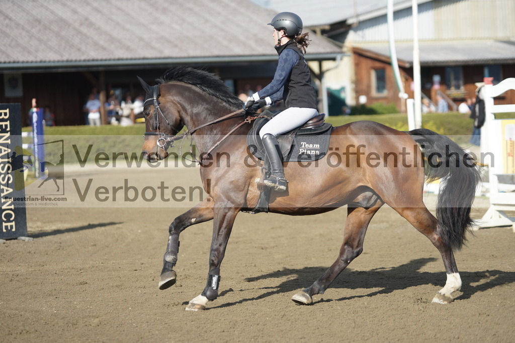 DSC03400 | equestrian-live-com