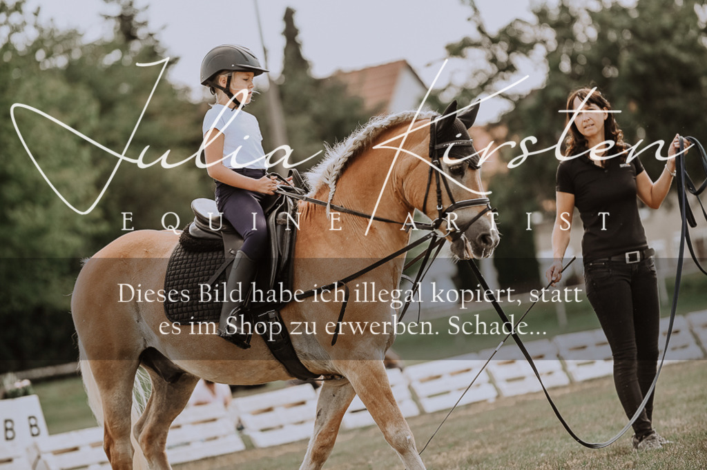 DSC_7662 | Pferde- und Turnierfotografie in Westsachsen. Pferdeportraits, Auftragszeichnungen und intuitive Kunst.