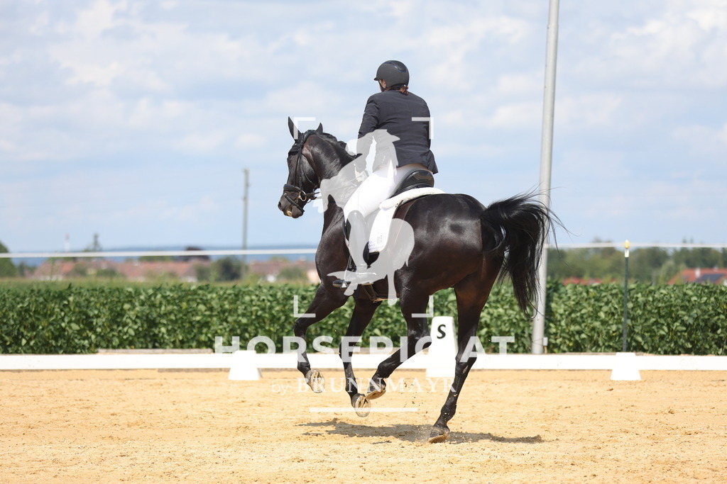 0P6A5641 | Willkommen bei Brunnmayr - Design & Fotografie – Ihrem Spezialisten für Reitturniere und Pferdeveranstaltungen in Oberösterreich, Salzburg und Bayern! Seit über 17 Jahren sind wir leidenschaftlich dabei.