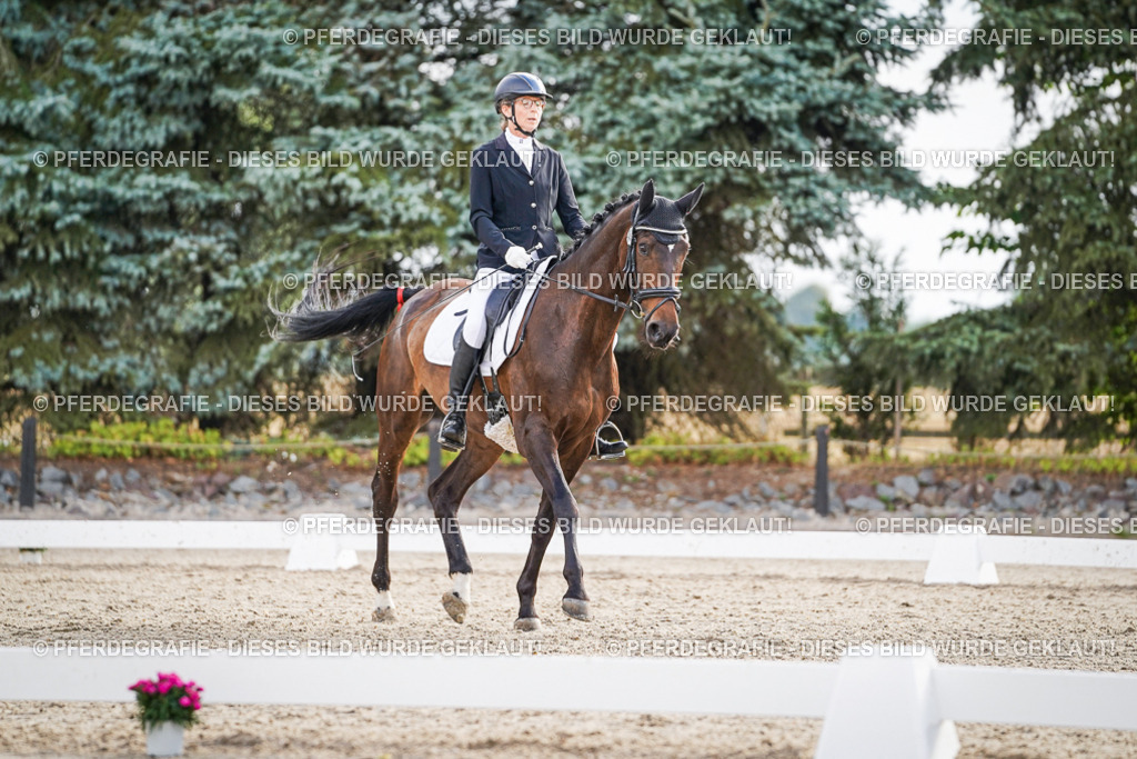 DSC00770 | Pferdegrafie