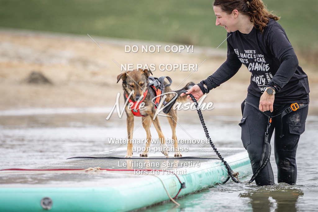 nelerasche_Hulsbeek_Sa1230-1330_183 | nelerasche