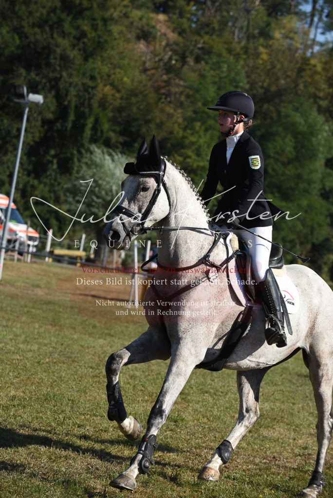 DSC_5280 | Pferde- und Turnierfotografie in Westsachsen. Pferdeportraits, Auftragszeichnungen und intuitive Kunst.