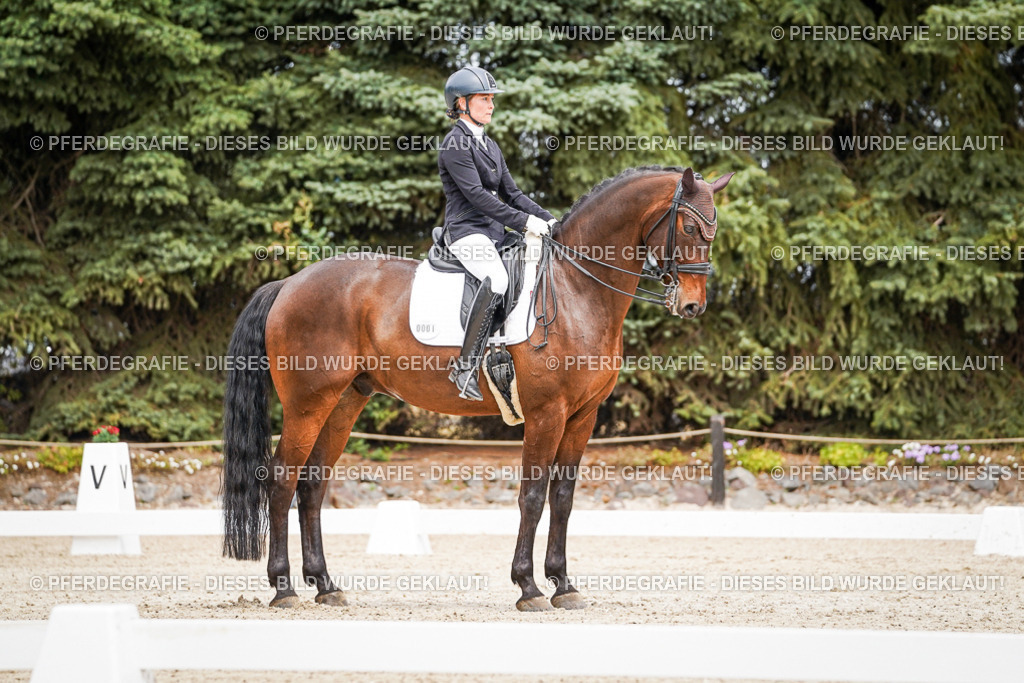 DSC04840 | Pferdegrafie