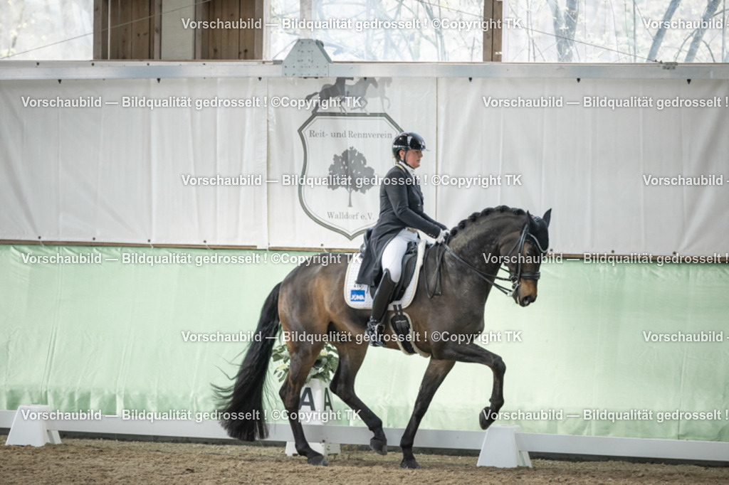 _D5A6068 | Emotionale Pferde- & People-Fotografie rund um Heidelberg, Leimen & Umgebung. Natürliche Fotos von Pferd, Mensch & Familie. Jetzt Termin sichern!