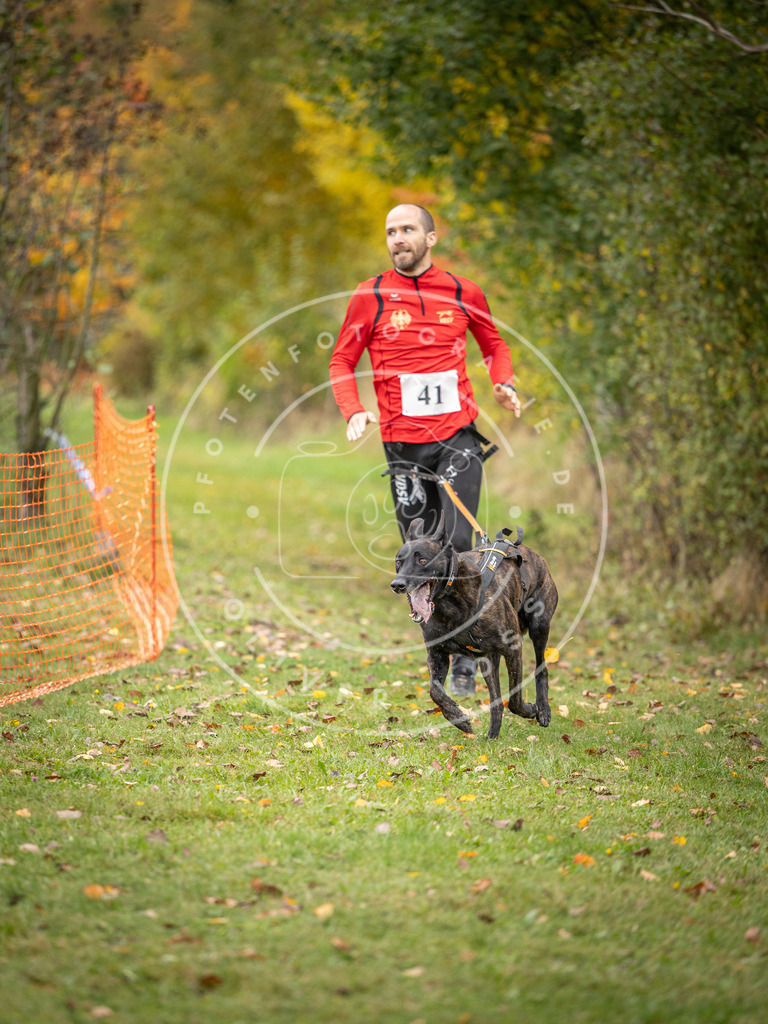Pfotenfotografie_DV3A2298 | Hundefotografie, Tierfotograf, Pfotenfotografie, Fotoshooting Hund, Hunde Portrait, Hundesport, Hundeportraits, Heideshooting, Hunde, Sportfotograf, Hundefotograf, Turnierhundsport, THS,  - Realisiert mit Pictrs.com