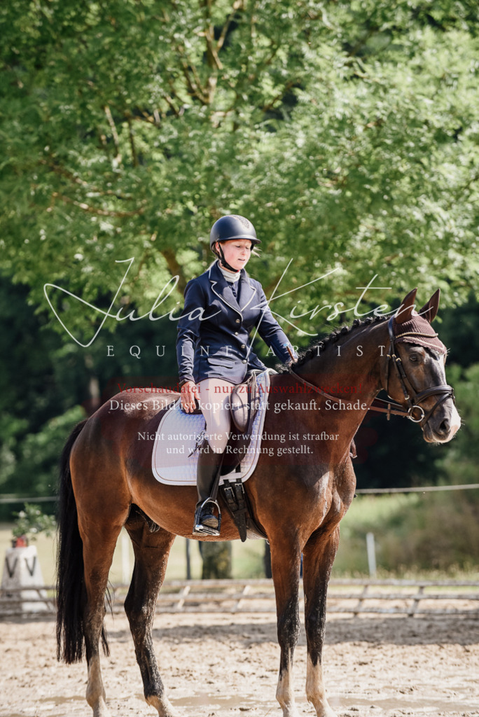 DSC_0134 | Pferde- und Turnierfotografie in Westsachsen. Pferdeportraits, Auftragszeichnungen und intuitive Kunst.